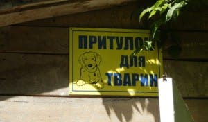 Притулок
