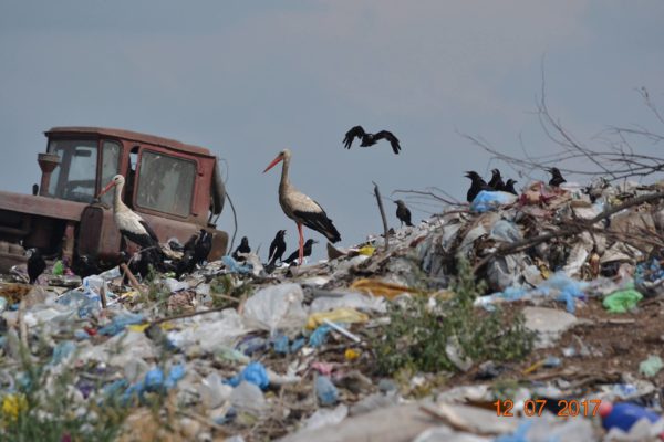 Бердичевлян заставят платить за соседей