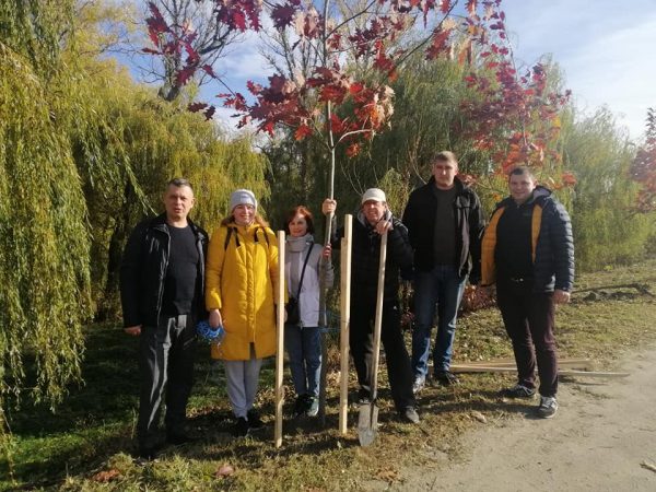 депутати дерева