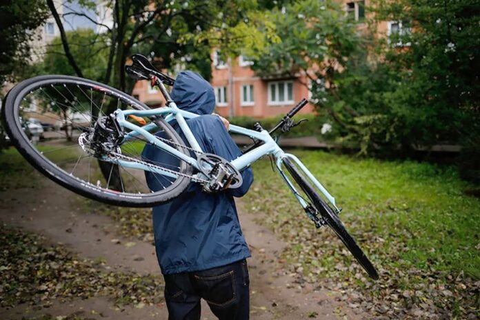 Підступні крадії