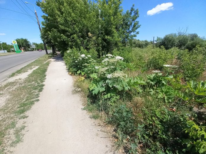 Бердичів