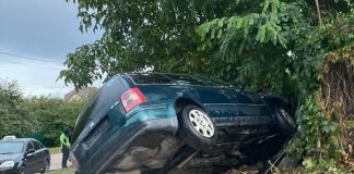 У Бердичеві авто підстрибнуло та в польоті врізалось у стовп Аварія Бердичів ДТП