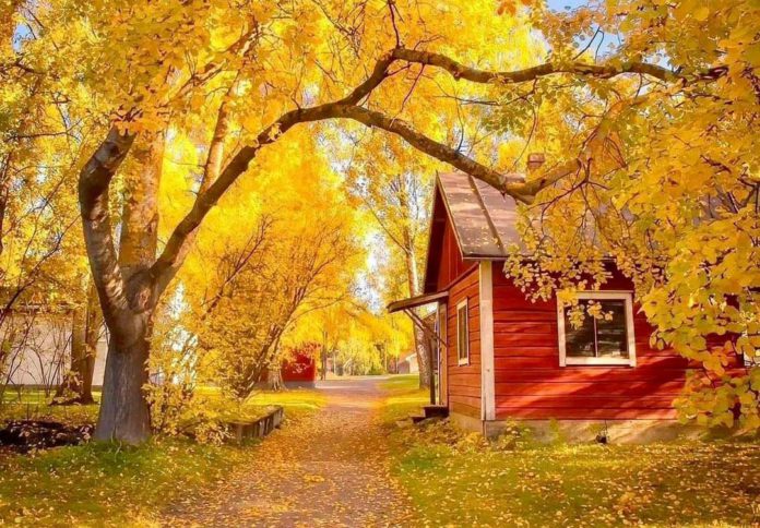 Осінь