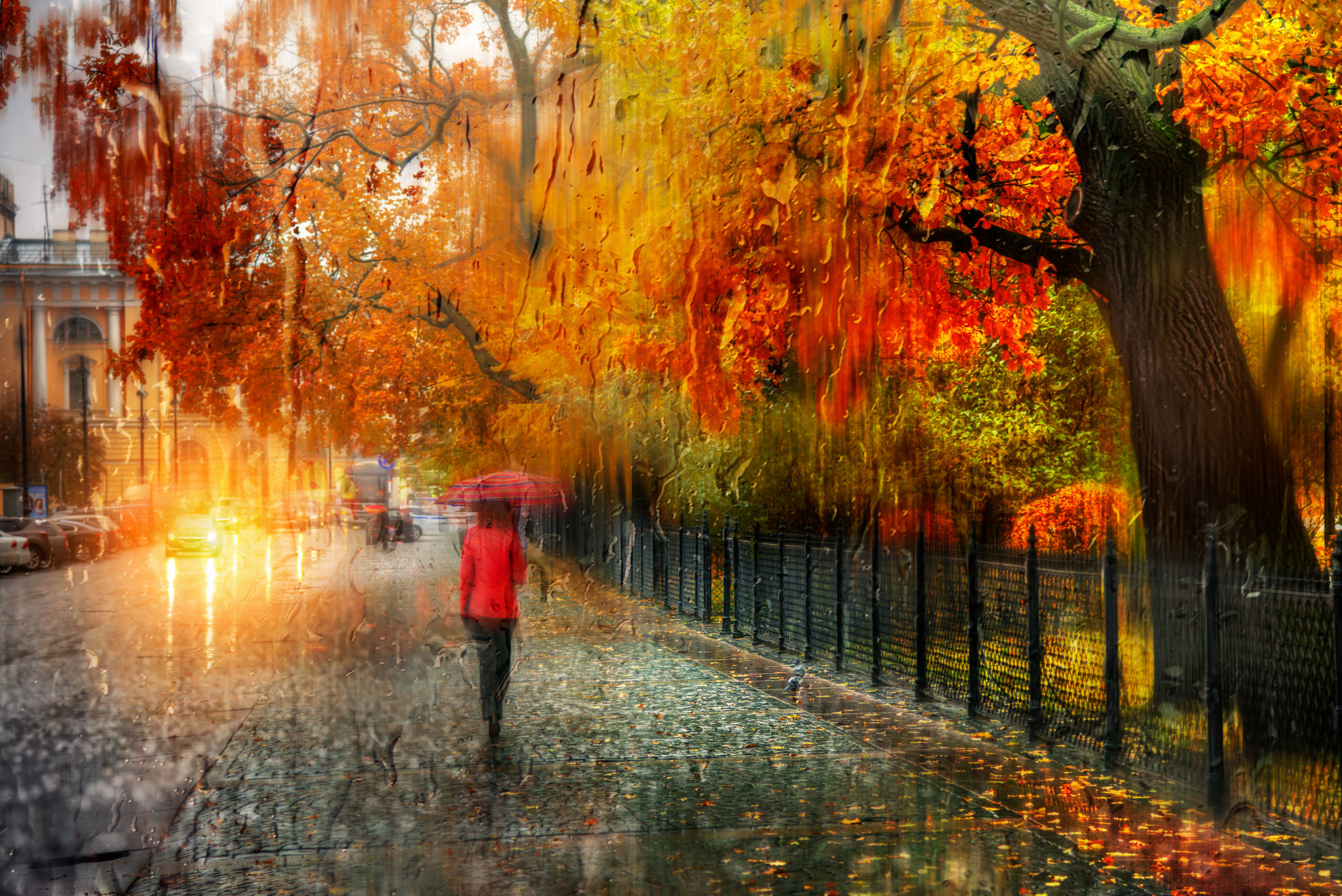 Осенняя музыка дождя. Осень в фотографиях Эдуарда Гордеева. Дождливая осень. Осень дождь.