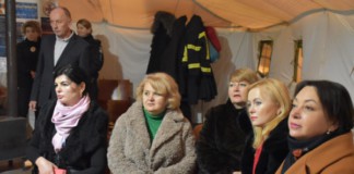У Бердичеві вчили голів громад, як повинен робити Пункт незламності димидюк лісова