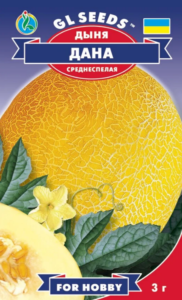 дыня