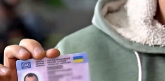 Патрульні Бердичева виявили у водія-порушника підроблений документ Посвідчення водія
