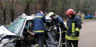 Поліція Бердичева з початку року фіксує кожного дня по 30 порушень ПДР аварія Бердичів