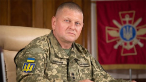 залужний валерій