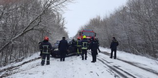 Бердичівські рятувальники повідомили про допомогу водію, авто якого вилетіло на узбіччя рятувальники