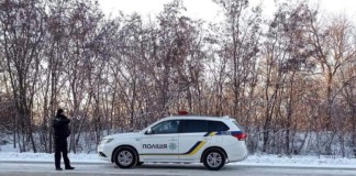 У Бердичівському районі затримали вантажівку з лісом поліція