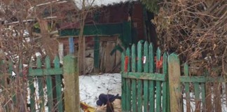 Мала бердичівська трагедія добігла кінця: тіло померлої знайшли під купою сміття покійниця