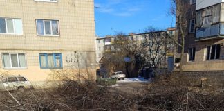 Танцювали, танцювали та не вклонилися: бардак комунальників знову створює напругу бердичв дерева