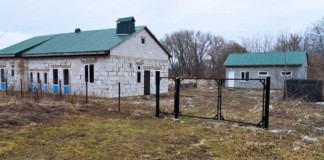 Безпритульні тварини: лід рушив, панове присяжні Притулок для тварин