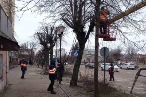 Дерева обрізка