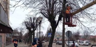 Цьогоріч у Бердичеві місячник благоустрою розпочнуть раніше Дерева обрізка