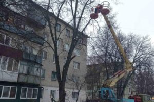 Обрізка дерев