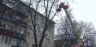 Зміни у роботі ОСББ: дистанційне голосування та багато іншого Обрізка дерев