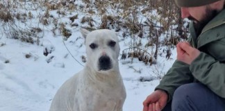 Розповіді з війни: вірні серцем та покинуті img 20230225 222026