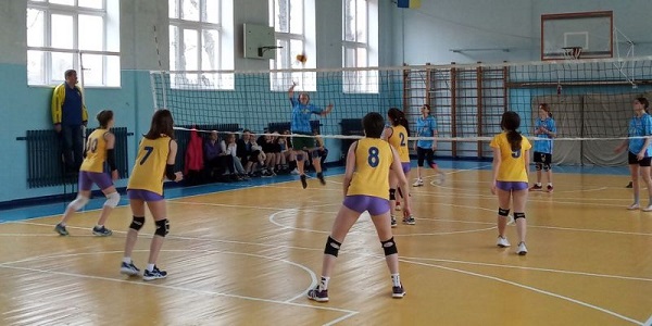 Волейбол у Бердичеві