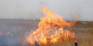 У Бердичівському районі горів гектар сухостою Пожежа