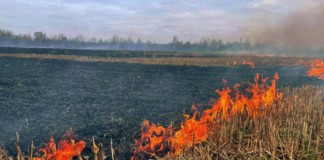 Бердичівщина у вогні: три великі пожежі за день Пожежа