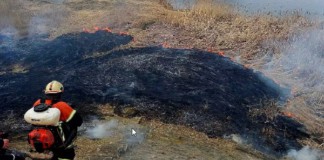 Пожежа у екосистемі Бердичева: вигоріло 3 гектари пожежа