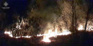 Нічна пожежа ледь не перекинулася на село Романівка пожежа