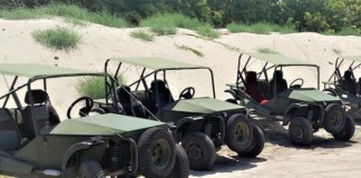 Бюджетники Бердичева придбали багі для бійців 139 батальйону ТрО. Відео Багі для війни