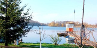 Наприкінці тижня у Бердичеві дощ припиниться, потеплішає до +19 градусів Бердичів погода