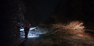 Рятувальники Бердичева вночі розчищали заблоковану дорогу Житомир-Сквира рятівники