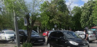 У Бердичеві водійка “Hyundai” ледь не вбила дверкою авто велосипедиста авто