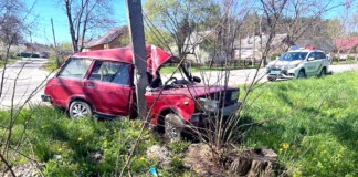 Бердичівлянин ледь не загинув у ДТП Дтп