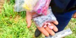 Поліція Бердичева затримала велику рибу з океану наркобізнесу Наркотики