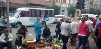 Як зміниться вулична та сезонна торгівля у Бердичеві після прийняття нового акту виконкому? Торгівля