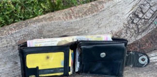 Кишенькову злодійку зі стажем з Бердичева суд відправив за ґрати Гроші
