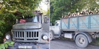 Патрульні в Бердичівському районі виявили вантажівку, яка перевозила незаконно зрубану деревину деревина
