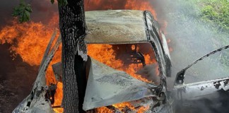 У поліції Бердичева розповіли про кількість ДТП у регіоні: 74 людини травмовані, 9 загинули дтп