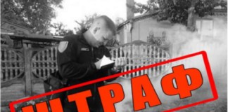 За тиждень в Бердичівському районі виникло 12 пожеж img 20230814 173642