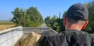У Бердичеві поліцейські оголосили підозри у крадіжках двом чоловікам Поліція Бердичева