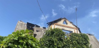 Пожежа у дачному кооперативі під Бердичевом Пожежа у дачному кооперативі