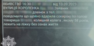 Жінка повідомила про вбивство сокирою, але поліція не знайшла загиблого Поліція Житомира