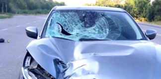 Трагічне святкування біля Вінниці: 28 річний мешканець Бердичева загинув на місці ДТП