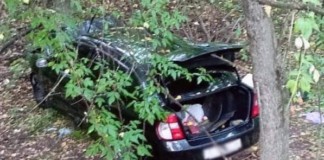Під час ДТП у Бердичівському районі постраждала людина ДТП у Бердичівському районі