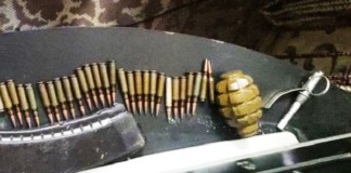 Поліція виявила гранату та три десятки набоїв у 63-річного мешканця Гришковець Знайшли гранату та набої
