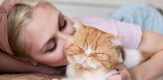 Лікувальні сухі корма для котів в магазині Зоодом Бегемот Домашній кіт