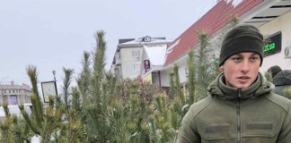 Як у Бердичеві перевірити легальність новорічної ялинки онлайн? Ялинка