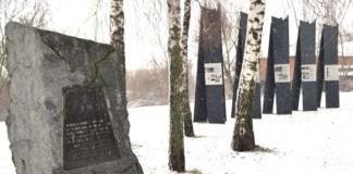 Міжнародний день пам’яті жертв Голокосту у Бердичеві Пам'ятник