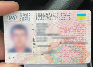 Зміни строків дії водійських посвідчень: постанова Кабміну №889: подробиці Посвідчення водія