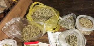 Поліцейські Бердичева взяли під варту наркоторговця з Житомира Затримали наркоторговця